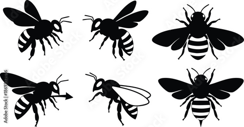 Vector art black silhouette bees flying and standing showing different wing positions and directional movement in minimalist style on white background