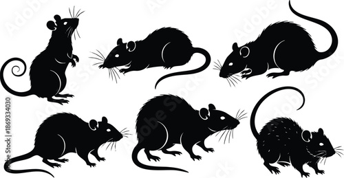 Silhouette vector art of six different black rat shapes showing various poses and angles isolated on white background including standing sniffing crouching and moving positions