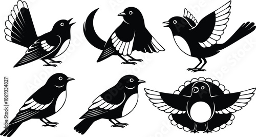 Black and white vector art of six birds in various poses including flying standing and singing detailed wing feathers isolated on white background with symmetrical decorative element