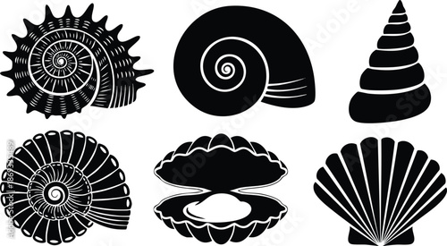 Black silhouette collection of six different seashells including scallop clam and spiral shapes in flat vector style isolated on white background detailed design set