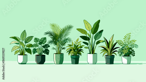 Potted plants in a row