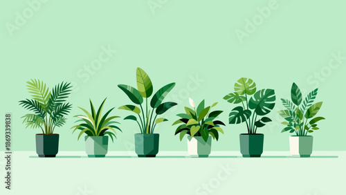 potted plants in a row