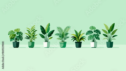Potted plants in a row