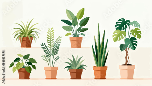 Potted plants on shelves