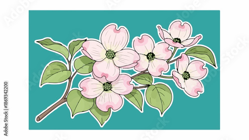 Delicate pink dogwood blossoms with green leaves on a teal background