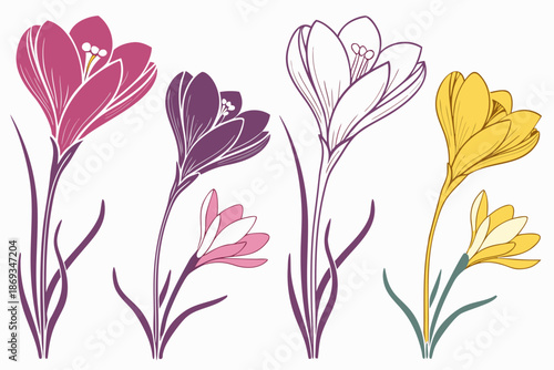 Flower buds opening silhouette vector illustration isolated on white background