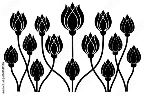 Flower buds opening silhouette, spring renewal concept isolated on white background