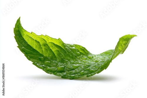 A mint leaf rests on a flat surface with a graceful curve, displaying droplets of water that cling to its surface. The setting is simple and clean
