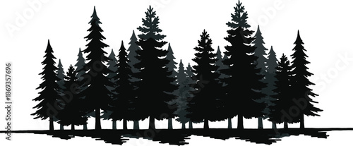 Dense evergreen pine forest silhouette with layered trees and ground reflection, natural wilderness landscape illustration for outdoor nature and environmental design themes.