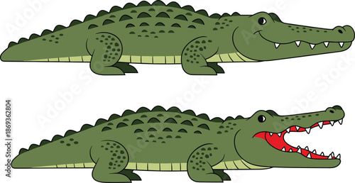 Cartoon crocodile illustration with open and closed mouth, green reptile character, children’s vector art, animal expression comparison