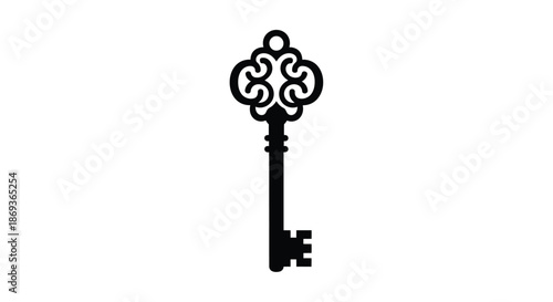Elegant antique key design with ornate details a striking silhouette