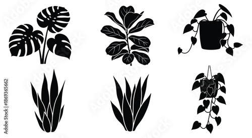 A collection of tropical plant leaves and foliage in black silhouette