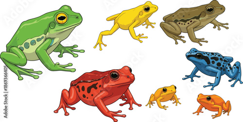 Colorful collection of frogs including green tree frogs, poison dart frogs, and various bright amphibians in different poses