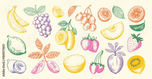 Collection of Colorful Hand Drawn Tropical Fruit Doodles with Banana, Lemon, Kiwi, Orange, Cherry, Melon, Raspberry, Coconut, Citrus Slices and Palm Leaves, Fun Summer Vector Icons