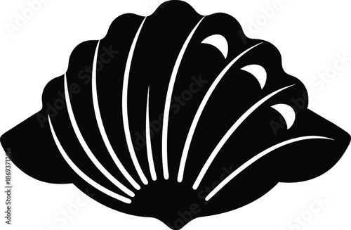 Sea shell sink stencil stamp vector, Sea shell silhouette, Seashell Silhouette vector illustration