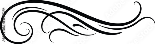 Elegant Black Swirl and Curl Design Element Keywords: swirl, curl, flourish, elegant, decorative, design, element, abstract