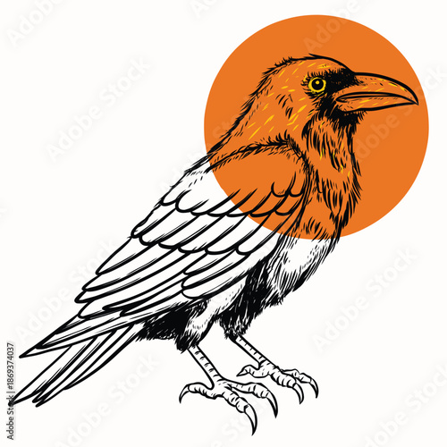 Crow sketch art hand drawn illustration