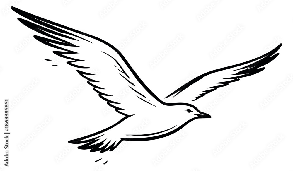 Obraz premium Hand drawn line art illustration of a bird depicting flight for design elements