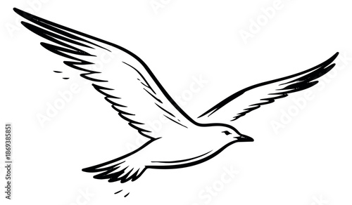 Hand drawn line art illustration of a bird depicting flight for design elements