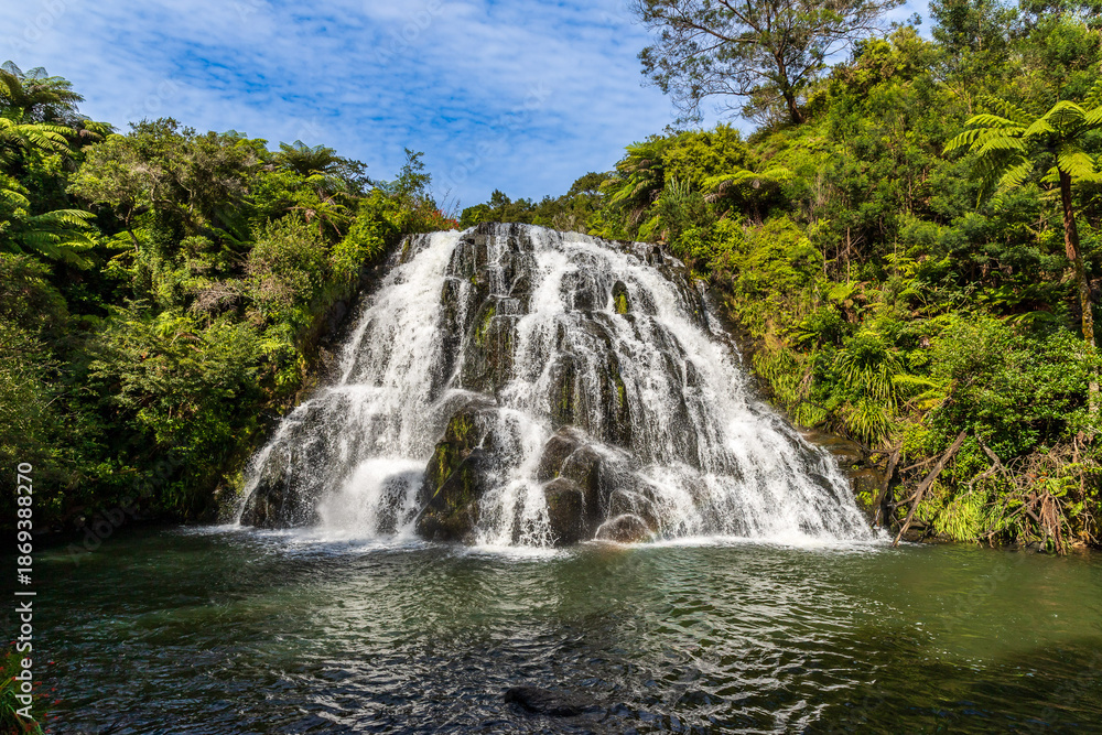Fototapeta premium Owharoa Falls in Waikato, New Zealand