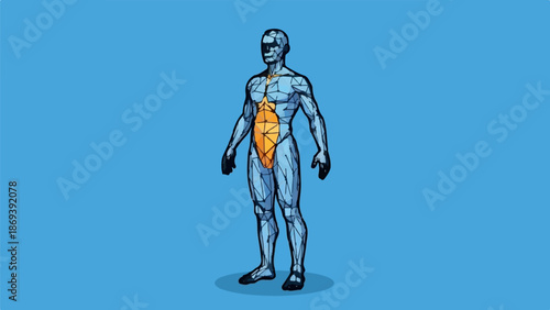 Geometric human form, blue, orange abdomen, standing, isolated