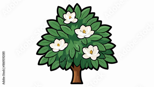 Green leafy tree with four white blossoms and a brown trunk