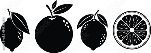 Silhouette vector of lemon and orange fruits with leaves and cross-section slice, citrus design for healthy food and kitchen content