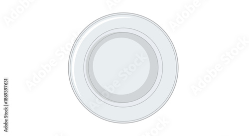 Minimalist White Plate with Elegant Design and Subtle Gray Accents for Stylish Table Settings