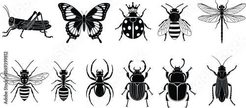 Stylized Insect Silhouette Vector Set – Butterfly, Beetle, Spider, Bee, Ant, Grasshopper Clipart for Nature, Education, and Design Projects