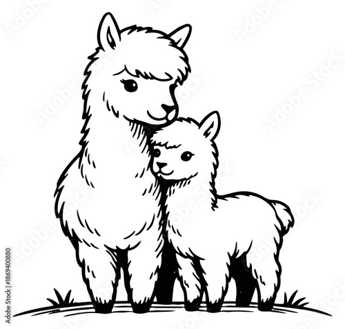 Hand drawn line art illustration of an alpaca mother and baby depicting affection for children's designs