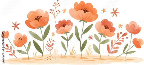 Vibrant orange poppies and wildflowers on white background illustration