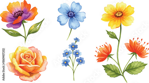 Watercolor illustration of six colorful flowers on white background