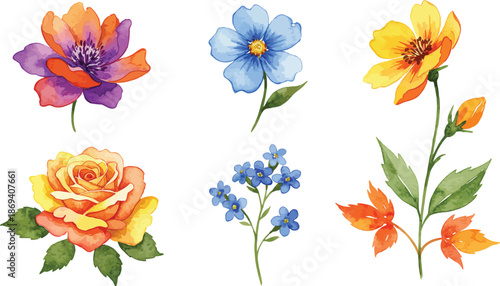 Watercolor painting of six colorful flowers on white background
