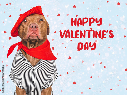 Happy Valentine's Day. Cute dog and congratulatory inscription
