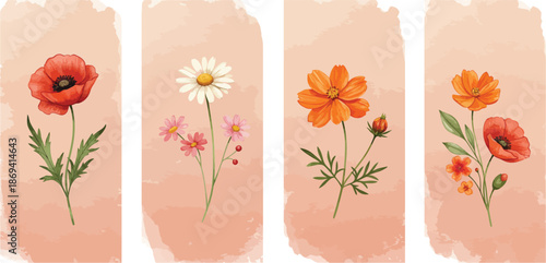Four watercolor floral illustrations of poppies and daisies on pink background
