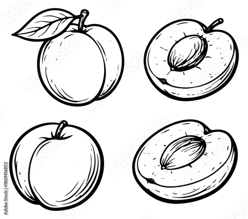 Hand drawn line art plum set featuring whole and halved plums with a leaf and pits for healthy food and recipe designs
