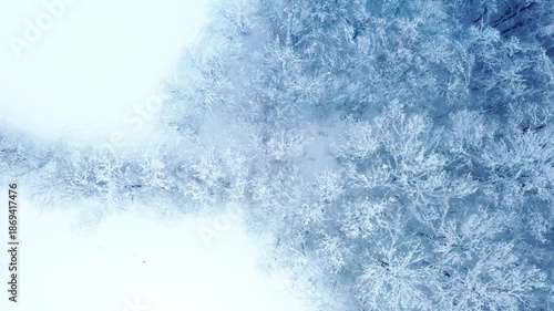 Aerial View of Snow Covered Forest in Bosnia and Herzegovina During Winter