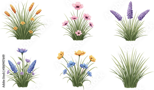 Vector Illustration Set of Ornamental Garden Grass and Wildflowers Featuring Lavender Pink Poppies and Yellow Blooms for Nature Landscape Design
