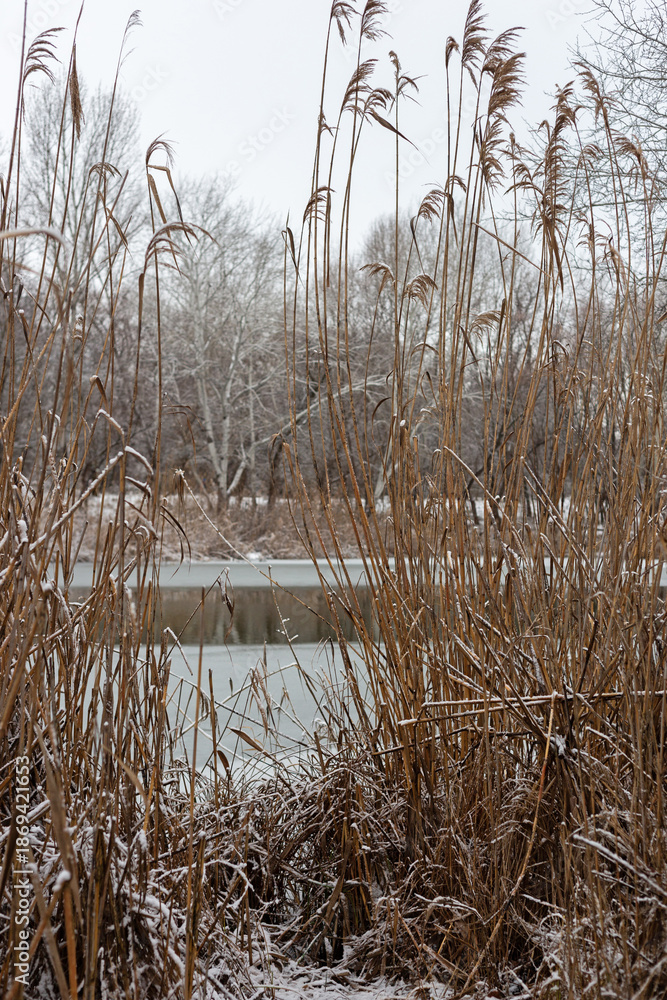 Obraz premium winter landscape with snow