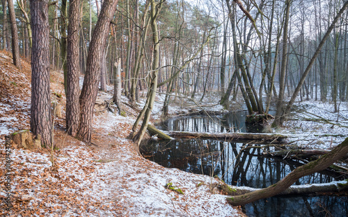 rzeka pośród lasu krajobraz jesienno zimowy