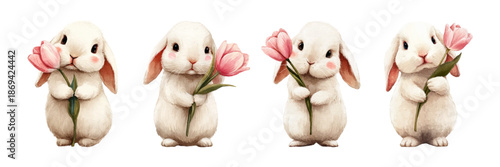 Watercolor set of rabbit with tulip flower. Cute set of Easter bunnies with spring tulip flowers, perfect for nursery decor and holiday greeting cards. Vector illustration.