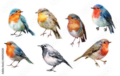 Watercolor bird illustration set featuring realistic vector characters: plover, swift, spoonbill, godwit. Spring birdwatching collection with migratory birds. Vector illustration.