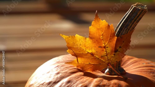 Golden Autumn Maple Leaf Resting on a Rustic Pumpkin in Warm, Natural Afternoon Sunlight.