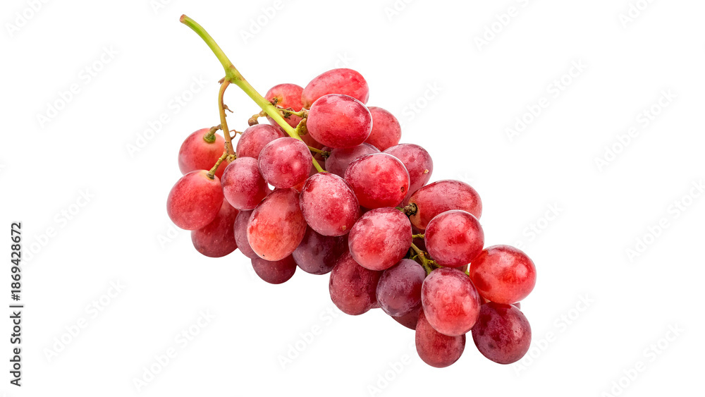 Fototapeta premium Fresh grapes for harvest and enjoyment during the summer season in a garden on a transparent background.