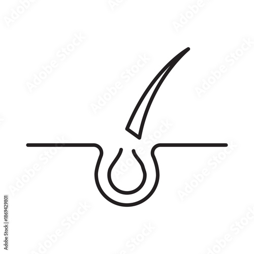 Hair strand icon linear vector design follicle root dermatology symbol trichology fiber structure growth beauty outline illustration element