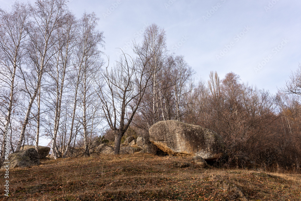custom made wallpaper toronto digitalhay bales in the field