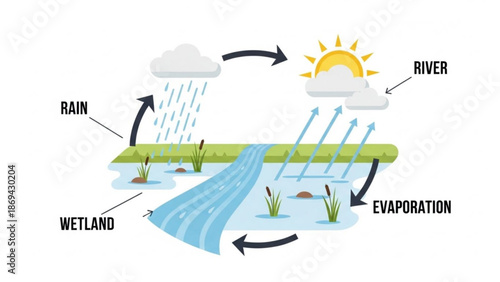 Water cycle diagram showing rain wetland river and evaporation process with environment
