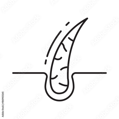 Healthy hair root icon linear vector design follicle sparkle dermatology symbol strong growth trichology beauty outline illustration element