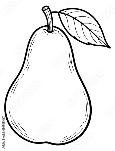 Hand drawn line art illustration of a pear depicting fresh fruit for food and nutrition concepts
