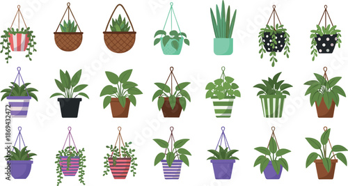 Set of indoor hanging plants and potted house plants, flat vector illustrations of home greenery